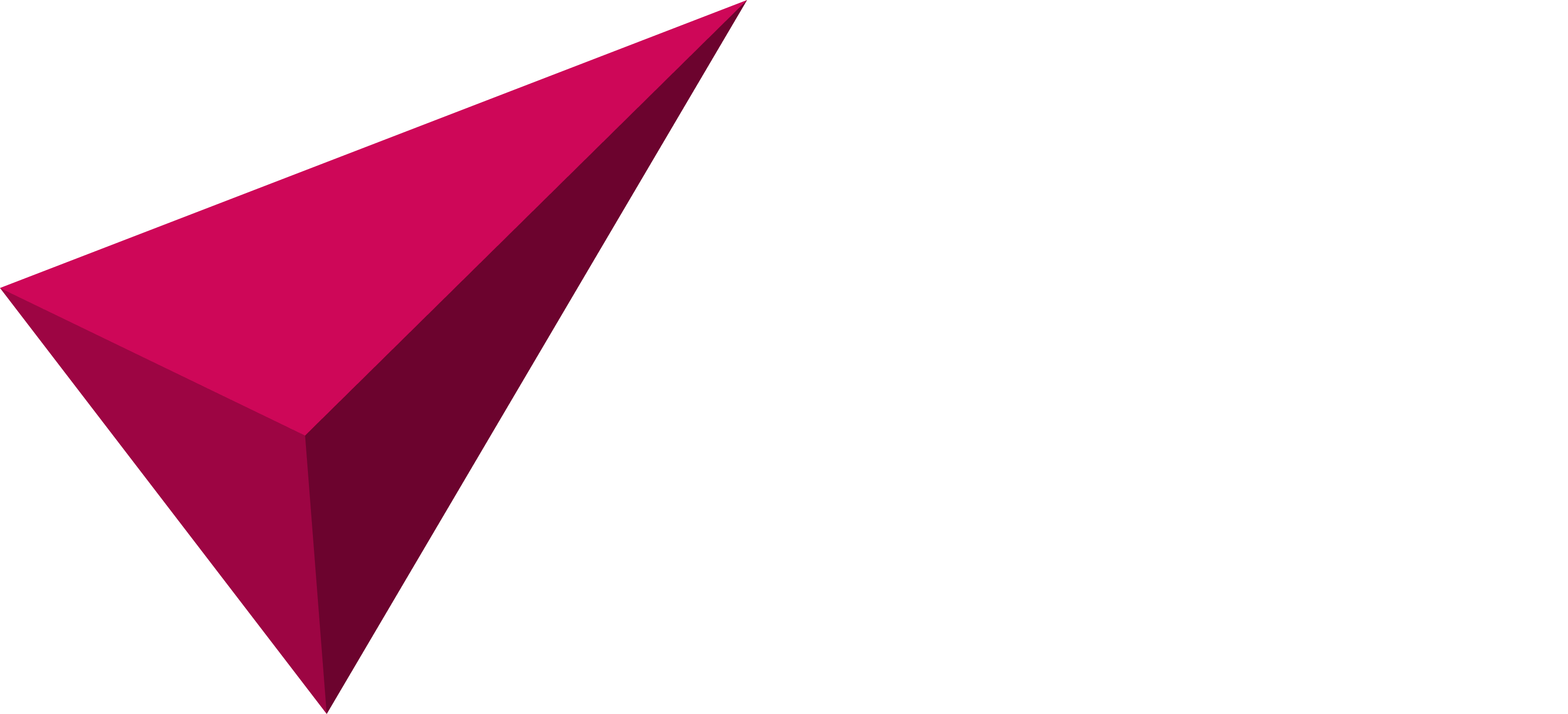 Visey Logo